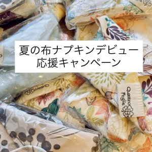 画像1: 【期間限定】夏の布ナプキンデビュー応援プレゼント♪5000円以上のお買い物で0円 (1)