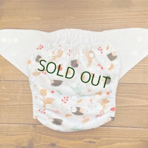 画像2: 「ハリネズミとウサギ」 立ったまま履けるパンツ型ワンサイズおむつ/トレパンにも♪きのこ,森 (2)