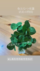 画像2: ¥0プレ【777円以上特典】 四葉のクローバーカード 数量限定あったらラッキー♪ (2)