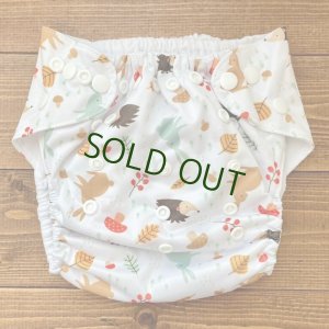 画像1: 「ハリネズミとウサギ」 立ったまま履けるパンツ型ワンサイズおむつ/トレパンにも♪きのこ,森 (1)