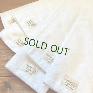 画像5: 【送料無料】 布おむつ★ぜんぶお試し４点セット  どれがいいか迷っちゃう方へ おむつカバー２枚同梱OK (5)