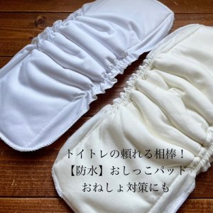 画像1: 【防水】トイトレパッド 超吸収！立体成形布おむつ 楽ちんオムツ トイレトレーニング おねしょ対策に (1)