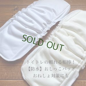 画像1: 【防水】トイトレパッド 超吸収！立体成形布おむつ 楽ちんオムツ トイレトレーニング おねしょ対策に (1)