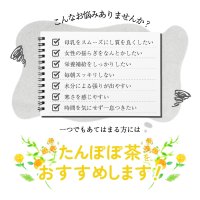 画像1: 【送料無料】たんぽぽ茶 国内焙煎 2g×30包 タンポポコーヒーノンカフェイン 母乳育児 ティーバッグ
