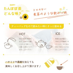 画像7: 【送料無料】たんぽぽ茶 国内焙煎 2g×30包  タンポポコーヒーノンカフェイン 母乳育児 ティーバッグ  (7)
