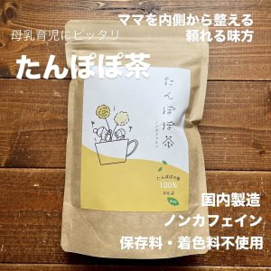 画像1: 【送料無料】たんぽぽ茶 国内焙煎 2g×30包  タンポポコーヒーノンカフェイン 母乳育児 ティーバッグ  (1)