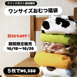 画像1: 【期間限定販売★10/18〜20】ワンサイズおむつカバー福袋（５枚セット）お買い得♪ 【クリックポスト送料無料】 出産準備,保育園準備にも【他商品同梱不可】 (1)