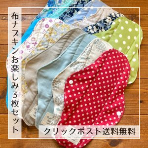 画像1: 布ナプキンお楽しみ3枚セット｜レギュラーMサイズ（防水・昼/多い日用）柄は店長おまかせ♪繰り返し使えてお肌に優しいハンドメイド【クリックポスト送料無料】 (1)