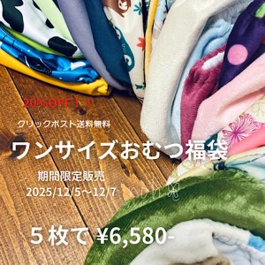 画像1: 【期間限定★12/5〜12/7】ワンサイズおむつカバー福袋（５枚セット）お買い得♪ 【クリックポスト送料無料】 出産準備,保育園準備にも【単品購入の場合,商品同梱不可】 (1)