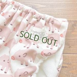 スナップつける前の画像です