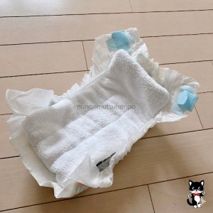 紙おむつとのいいとこ取りで楽ちん布おむつ体験！