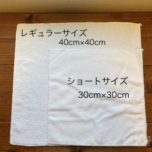サイズ比較