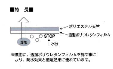 “透湿性防水布”