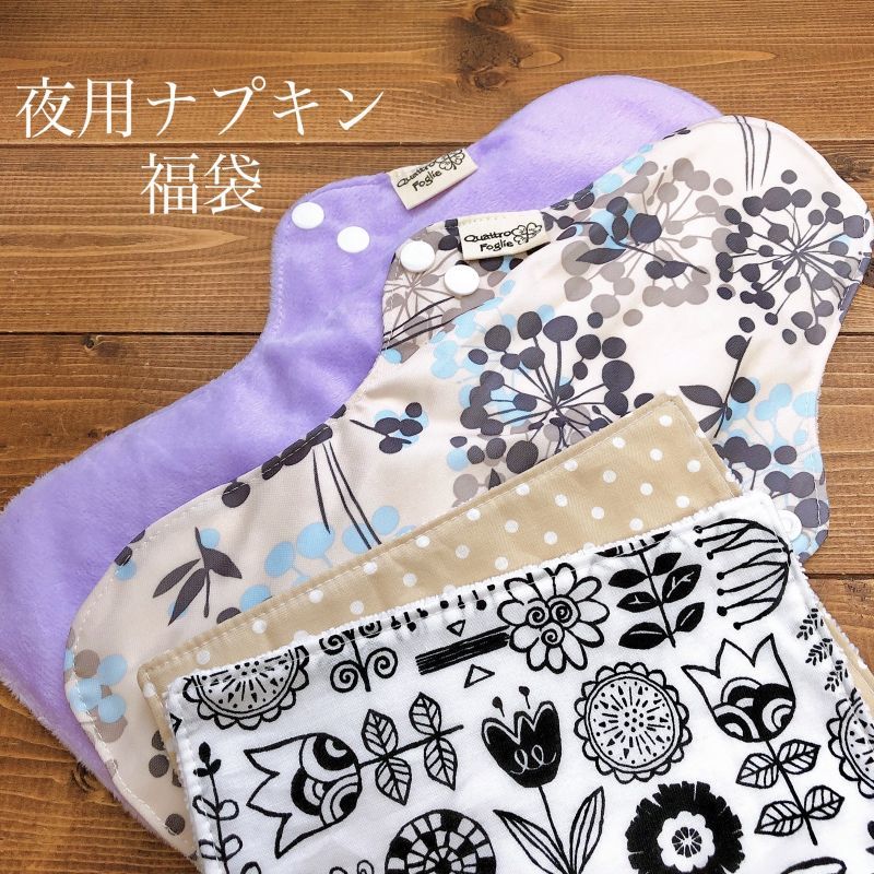 【在庫限り】夜用布ナプキン福袋（夜用２枚＋便利クロス２枚＝４点セット）【クリックポスト送料無料】旧品再販なし